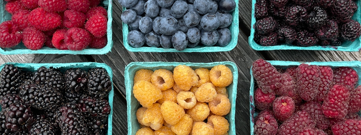 Berries for sale in the 21 Acres Market