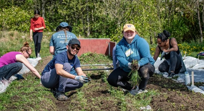 Earth Day volunteers weed a field on the 21 Acres farm.