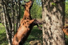 thumbnail_IMG_5611