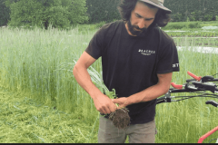 Anthony showing the fine aggregates left by the rye grass