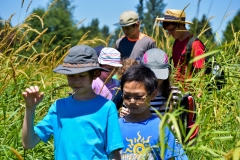 21A_FarmCamp_7.24-17-min