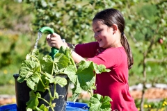 21A_farm camp_8.4.16-14