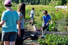 21A_farm camp_8.4.16