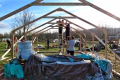 Greenhouse 4