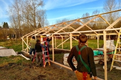 Greenhouse 5