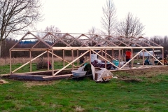 Greenhouse 6