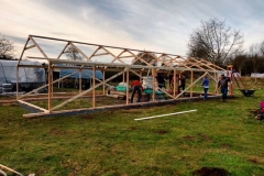 Greenhouse 7