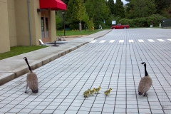 2014-05-05_10-20-16_126
