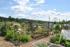 CommGardens2