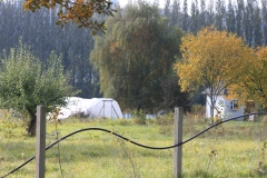 Farm fall 2013 (42)