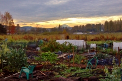 fallfarm3_commgardens