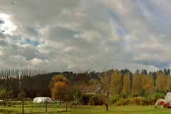 fallfarm4