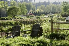farm 089