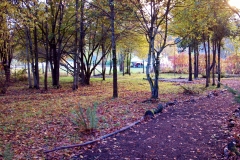 farmfall (1)