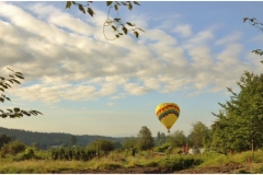 summer_balloon_farm