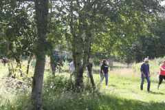 surrounding-grounds1