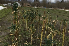 thumbnail_IMG_3164