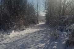 2019-02-05 10.33.20-min