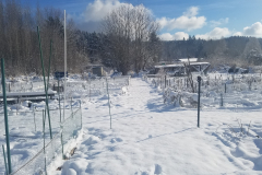 2019-02-05 10.44.37-min