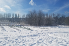 2019-02-05 10.53.15-min