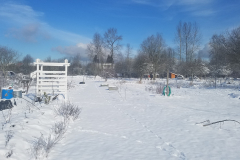 2019-02-05 10.59.16-min