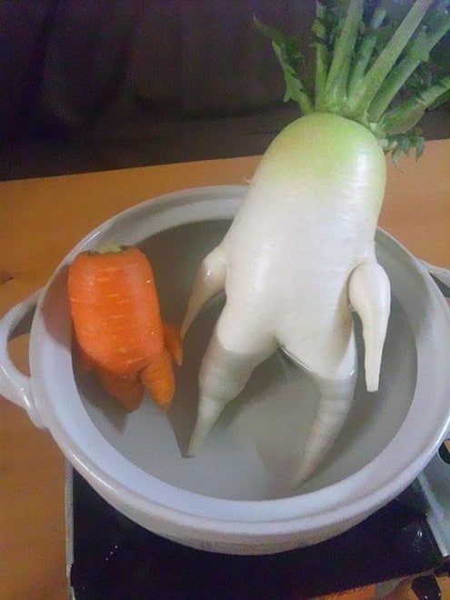 funny-vegetables-14