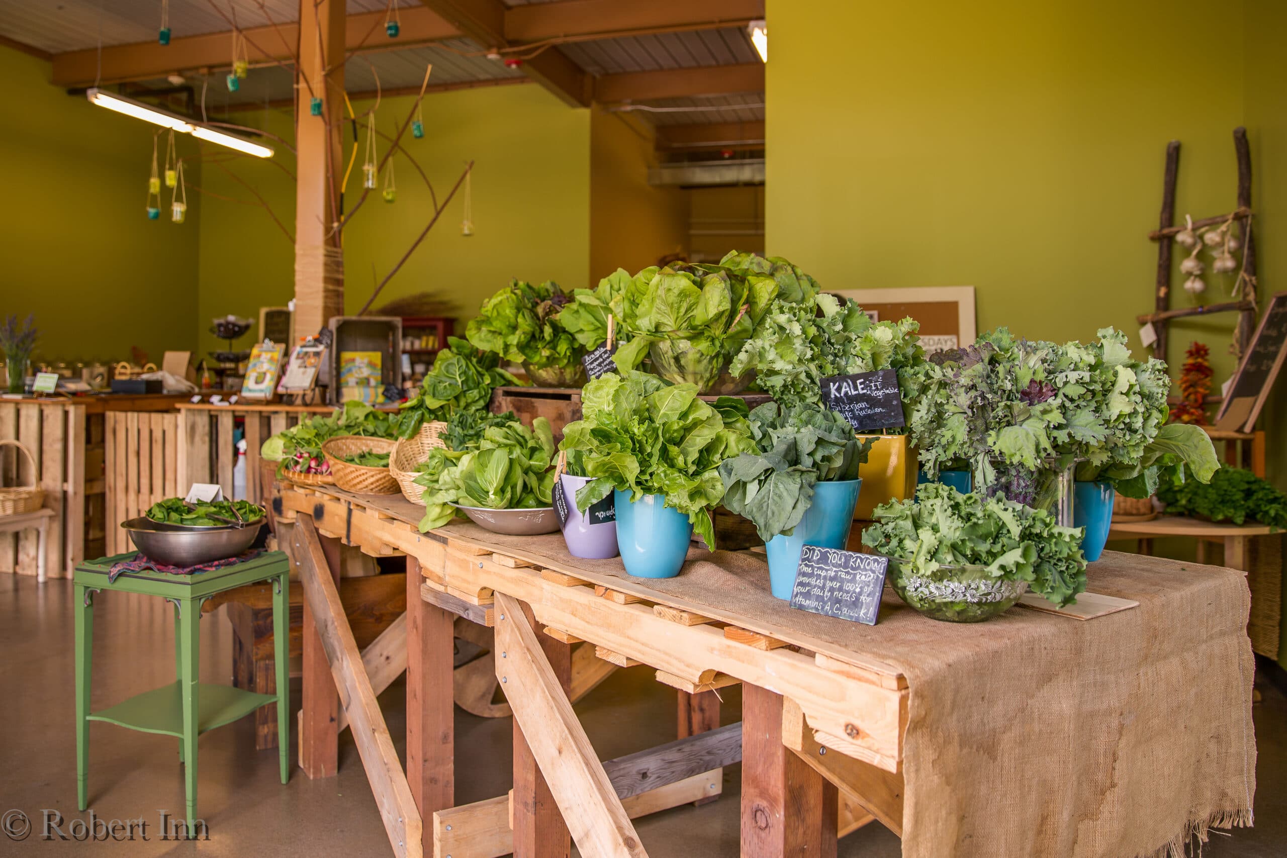 Thanks to Robert Inn Photography for this beautiful photo of the greens from our farm in the 21 Acres Market.