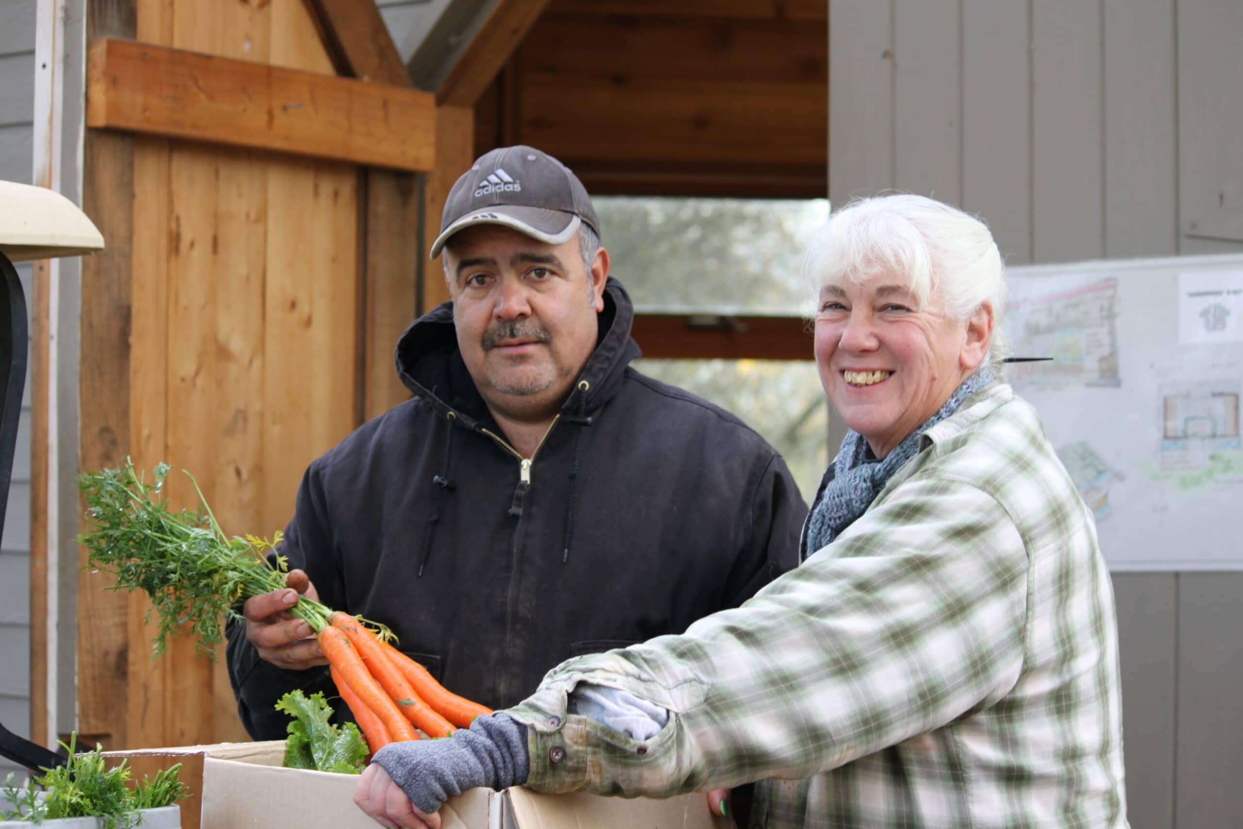 Mary and Pepe, 21 Acres' farmers, filling boxes of carrots in the fall destined for Seattle-area restaurants