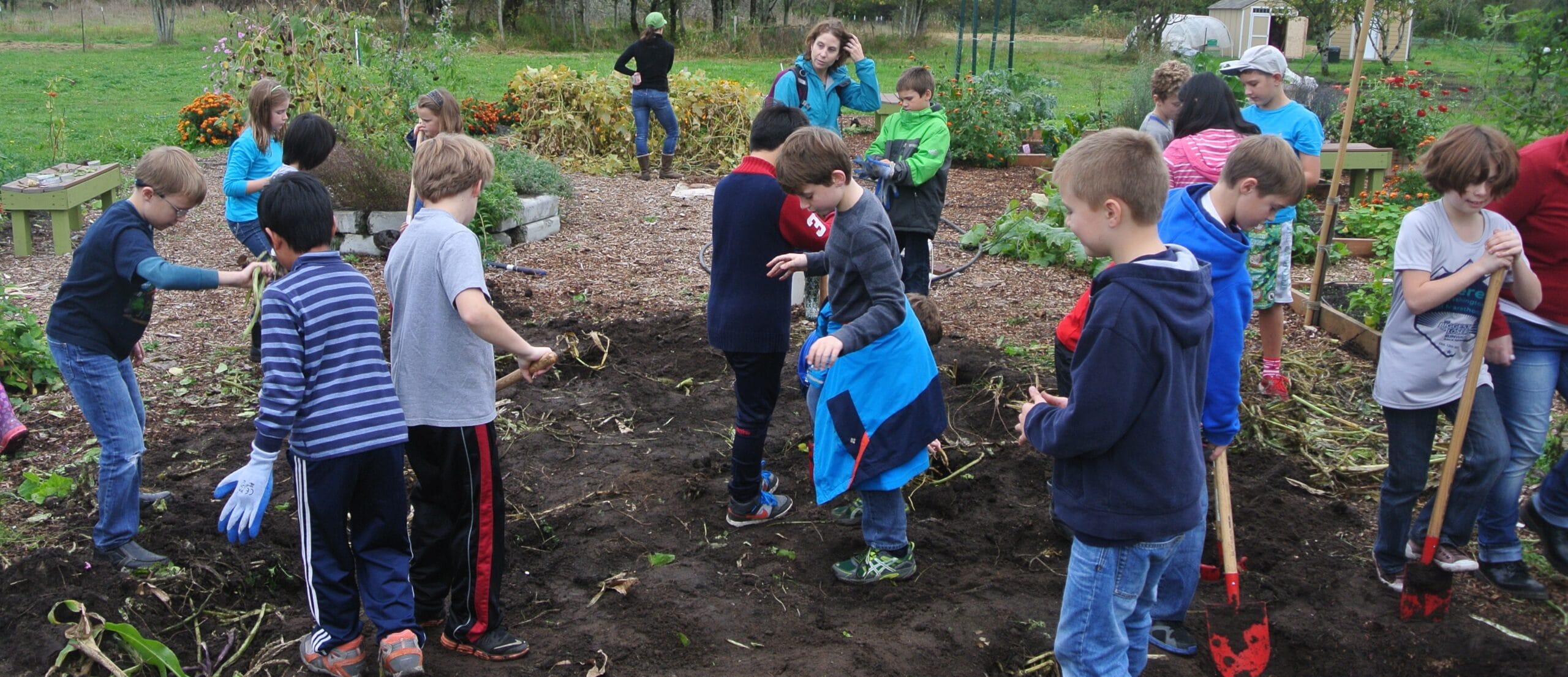 Field Trips At 21 Acres 21 Acres