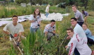 Volunteer group on the 21 Acres farm