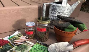 A collection of garden supplies on the front porch: Seeds, watering can, trowel, and more seeds! Seed saving is an important way to help preserve biodiversity.