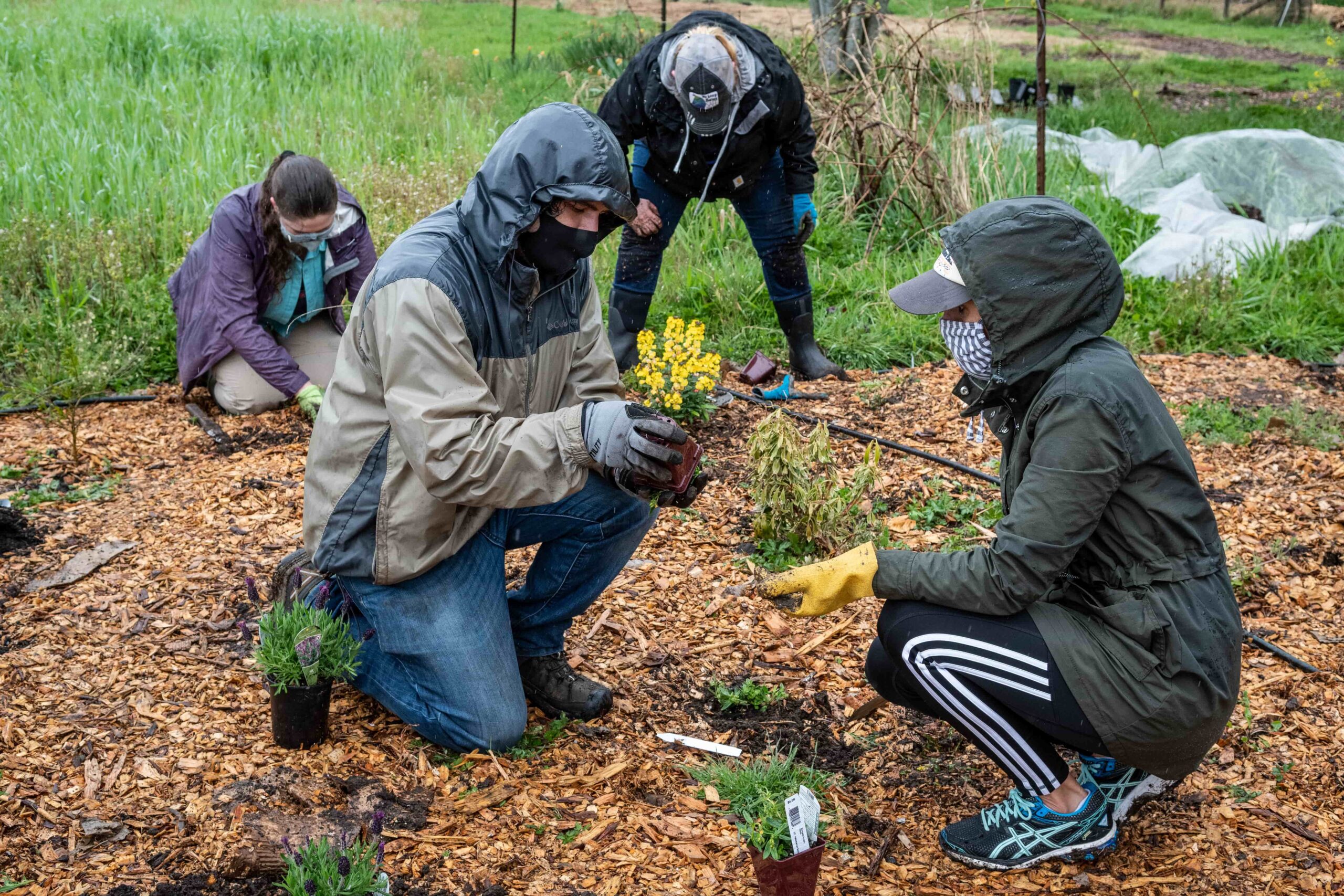 Volunteers plant out the pollinator garden at 21 Acres.