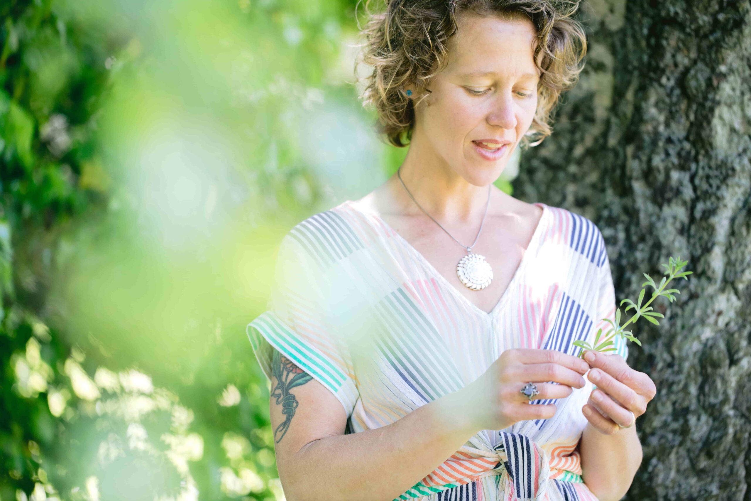 Dr. Sarah Sue Myers teaches Plant Medicine and connects the self to nature.
