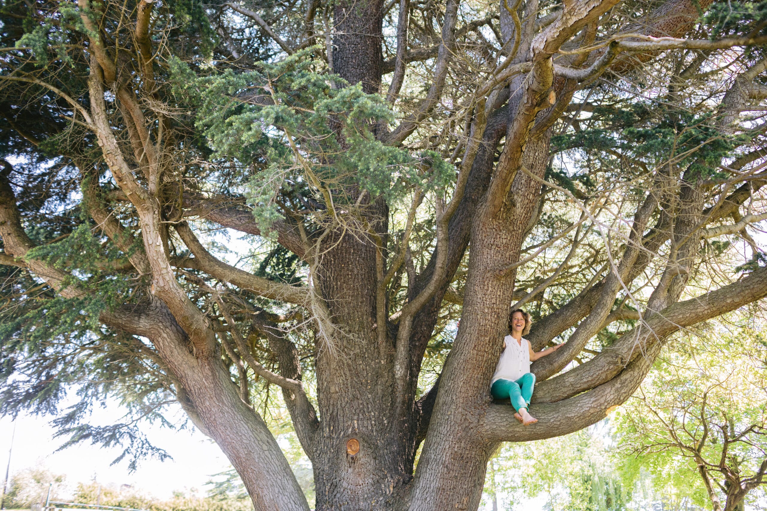 Sarah Sue climbs a giant cedar tree near her Bellingham home, smiling in awe of its shape, legacy, and potent medicine.