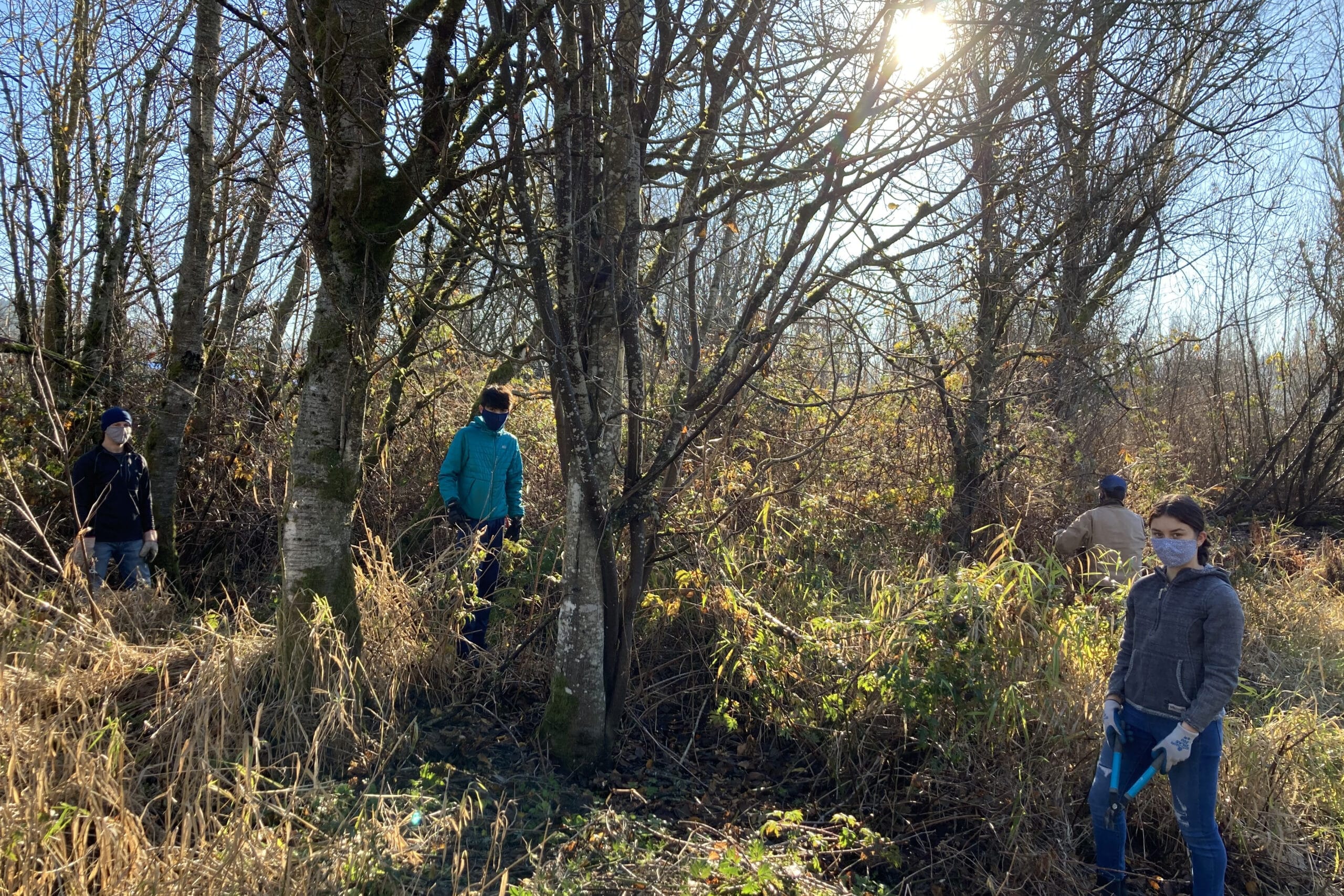 Volunteers in the 21 Acres wetlands work on cutting back weeds.