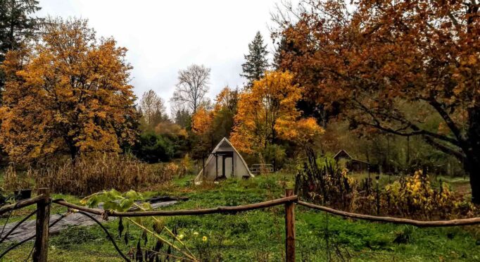 Autumn garden at Hawthorn Farm holds secrets for spring success next year.