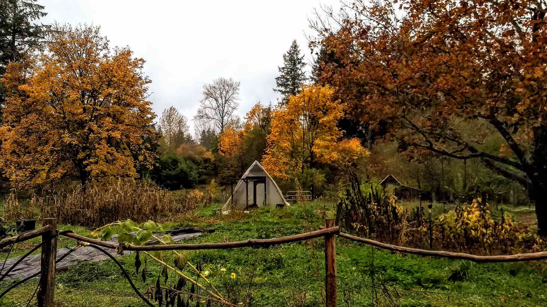 Autumn garden at Hawthorn Farm holds secrets for spring success next year.