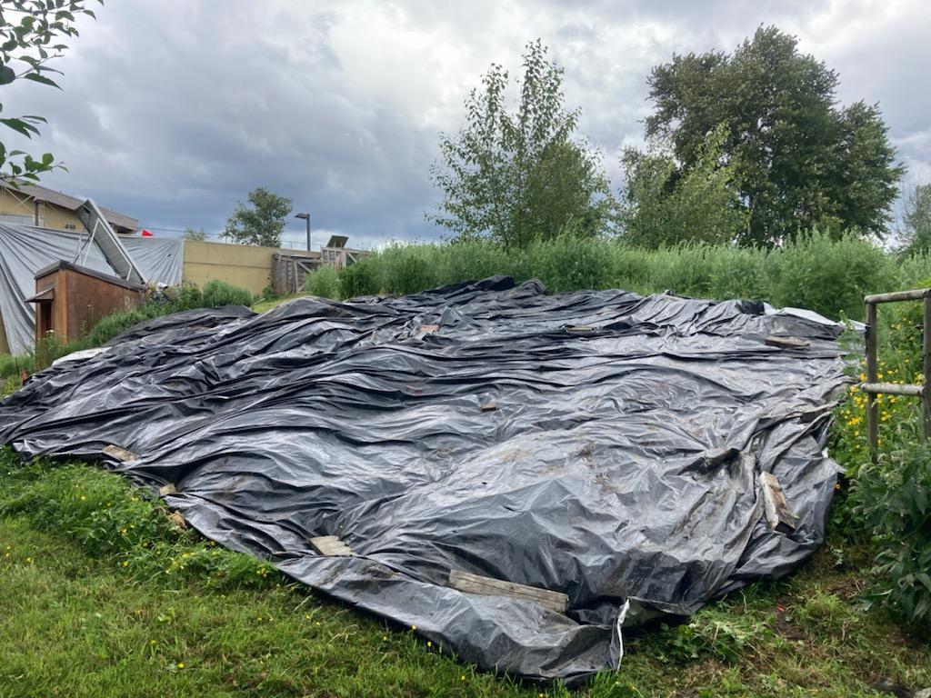 Silage tarp in winter 2020 helps solarize the berm area to kill weeds and prepare for wildflower meadows.