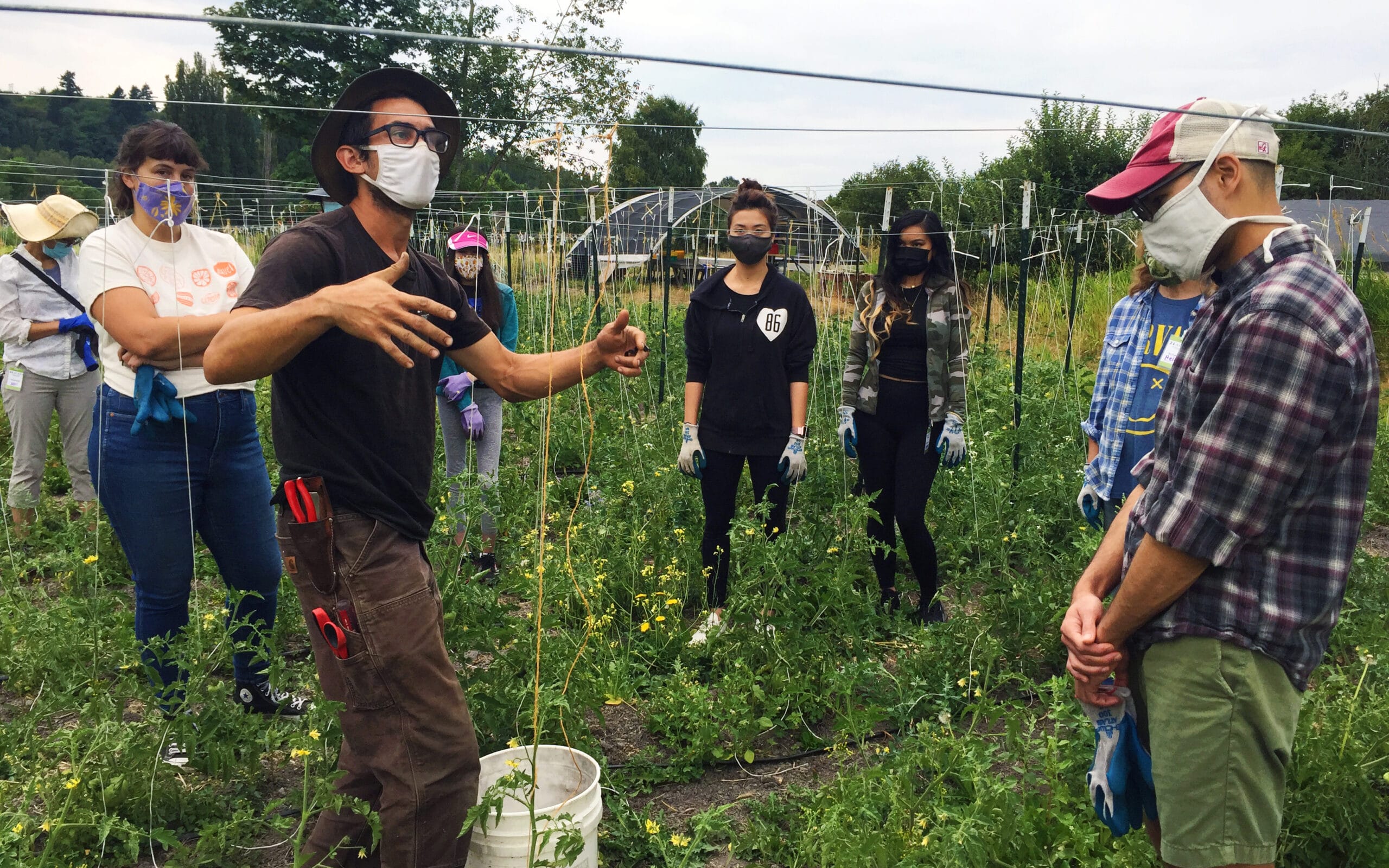 Anthony Reyes leading a farm tour to a group of volunteers who are working on stringing up tomatoes on the farm.