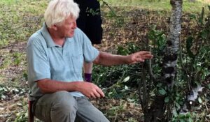 Tom Quigley pruning trees cropped photo