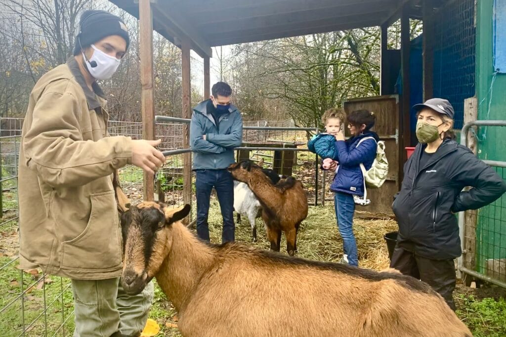 Anthony leading a farm tour, getting nibbles from Lucky (or Skippy) the goat. Tour attendees stand nearby learning from Anthony and the goats.