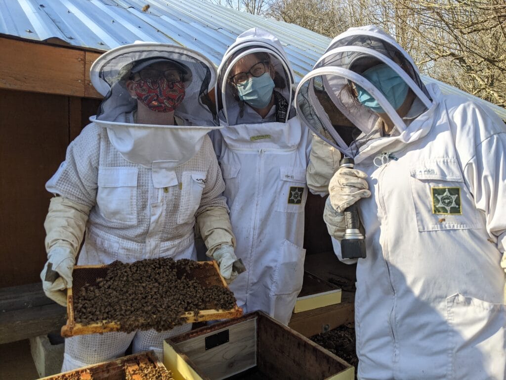 21 Acres Bee Club volunteers show off a full hive of bees during routine care.