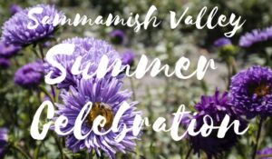 SVA Summer Celebration