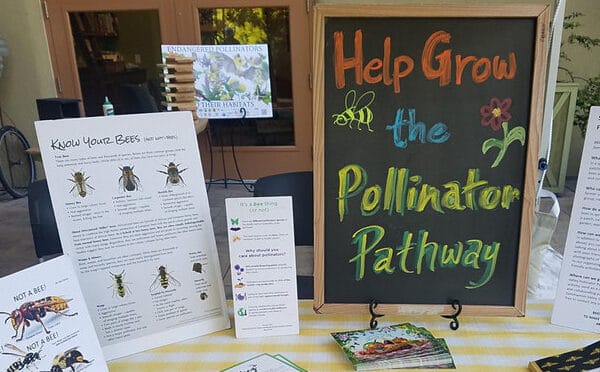 The Pollinator Pathway NW group seeks to identify and improve spaces for pollinator health.