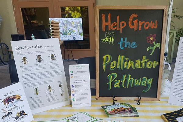 The Pollinator Pathway NW group seeks to identify and improve spaces for pollinator health.