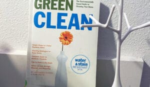 The book "Green Clean" shares ideas for green, nontoxic household cleaning. Book review by Siri Smith.