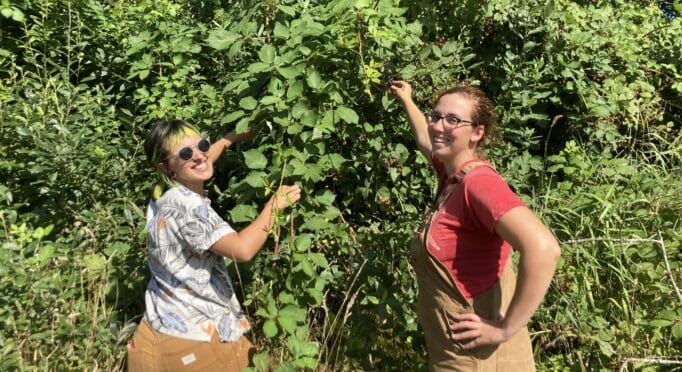 Jess and Ansley pick blackberries on the 21 Acres Farm.