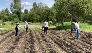 Volunteers work in a production field on the 21 Acres farm.