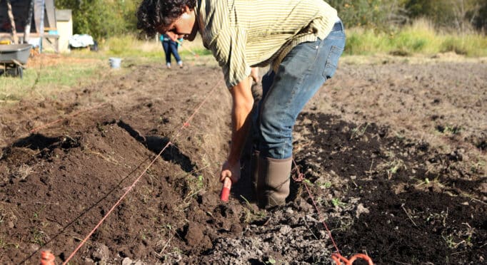Volunteer digging at 21 Acres