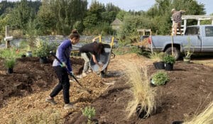 Volunteers landscaping with tools and a wheelbarrow